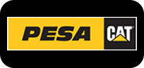 16_Pesa